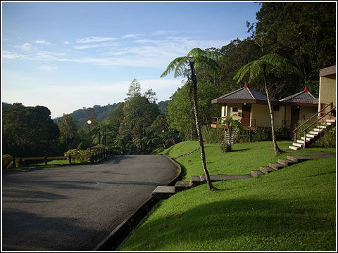 حديقة كينابالو في صباح - ماليزيا
